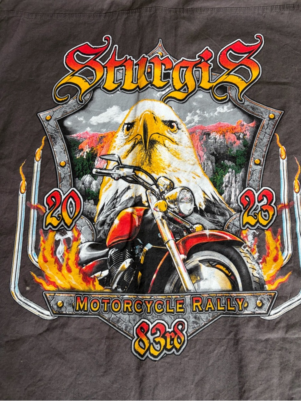 NWT Sturgis Motorcycle Rally 2023 Graphic Sleeveless Button Down, Men’s Medium